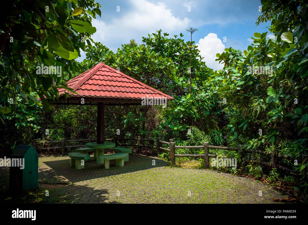 Shady resting area on the trail at Bukit Batok Public Nature Park in Singapore Stock Photo