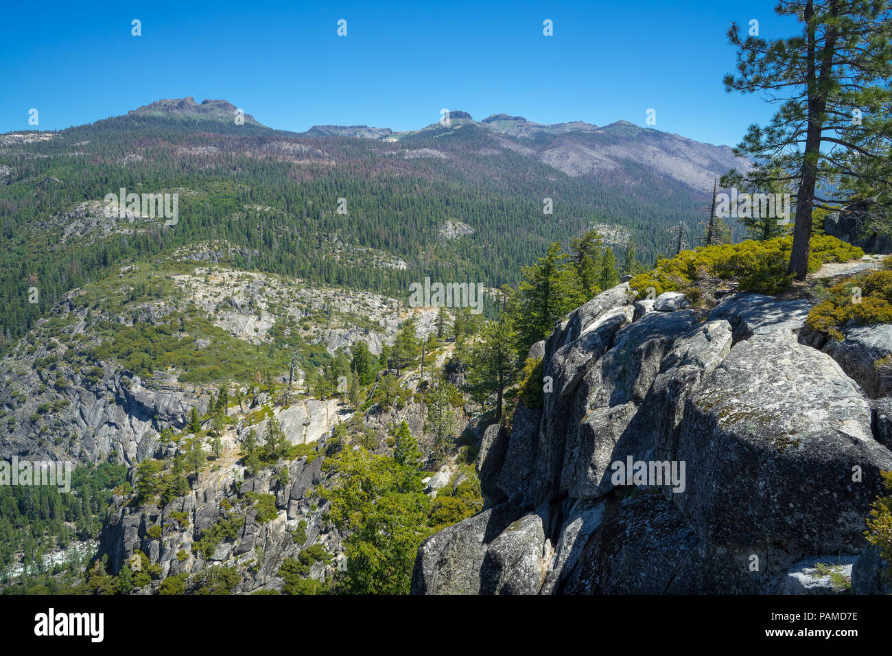 The dardanelles forest hires stock photography and images Alamy