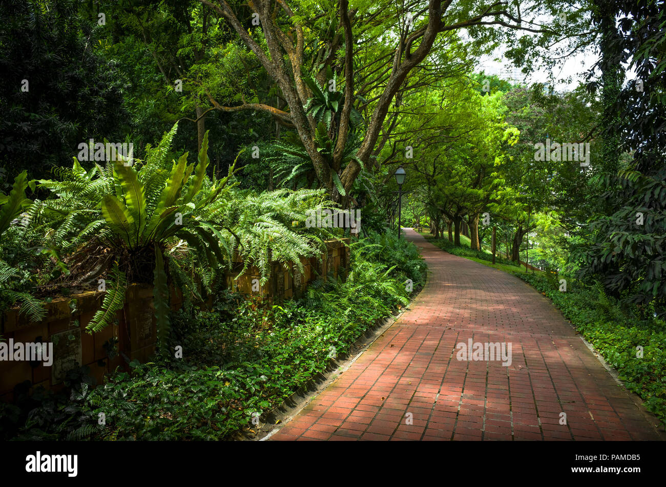 Curved red brick path in Fort Canning Park, a public green space in Singapore Stock Photo