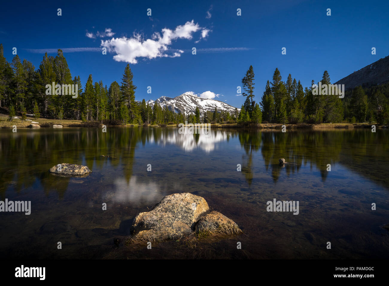 Alpine lake landscape from springtime snowmelt, with reflection of Snowy Mammoth Peak in Distance - Yosemite National Parkm Stock Photo