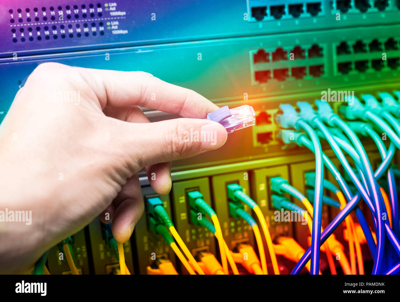 hand plugging cable in network switch Stock Photo Alamy