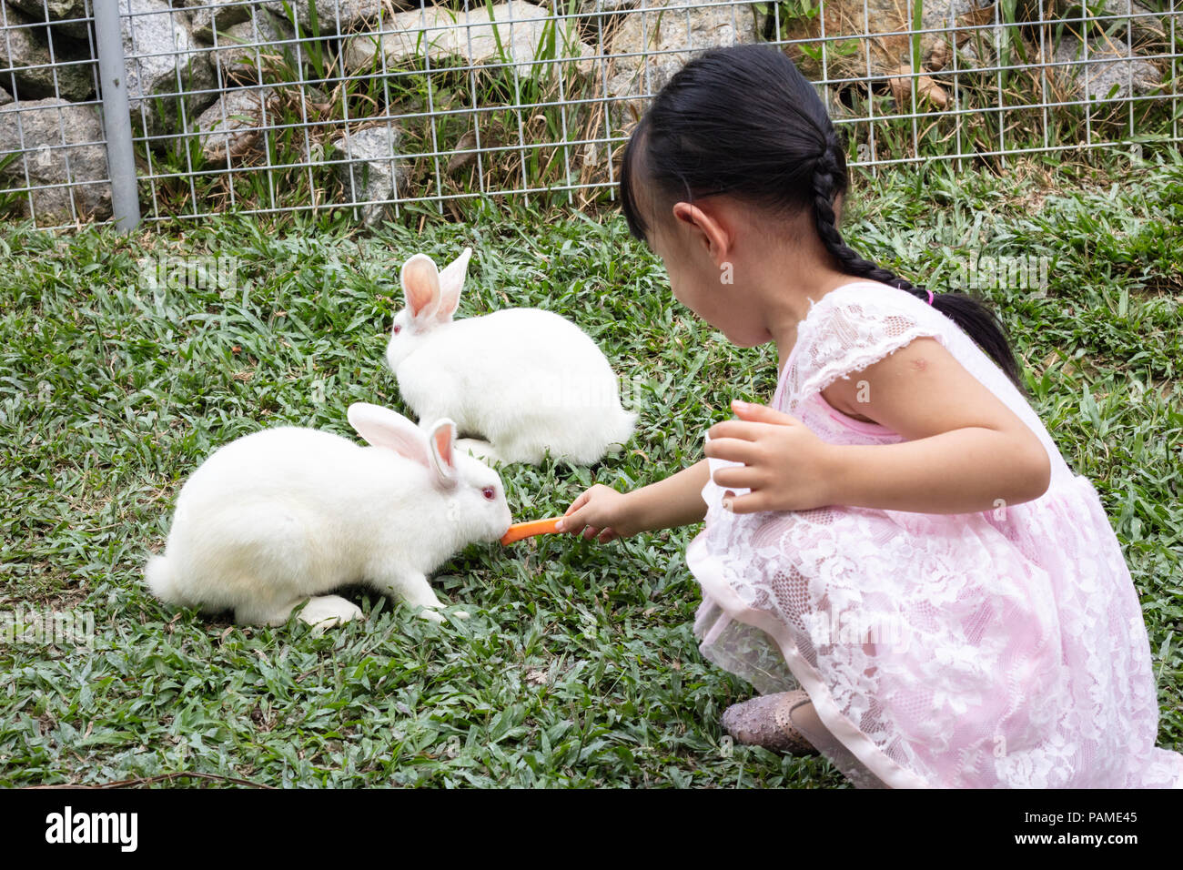 Girl Feeding Rabbit