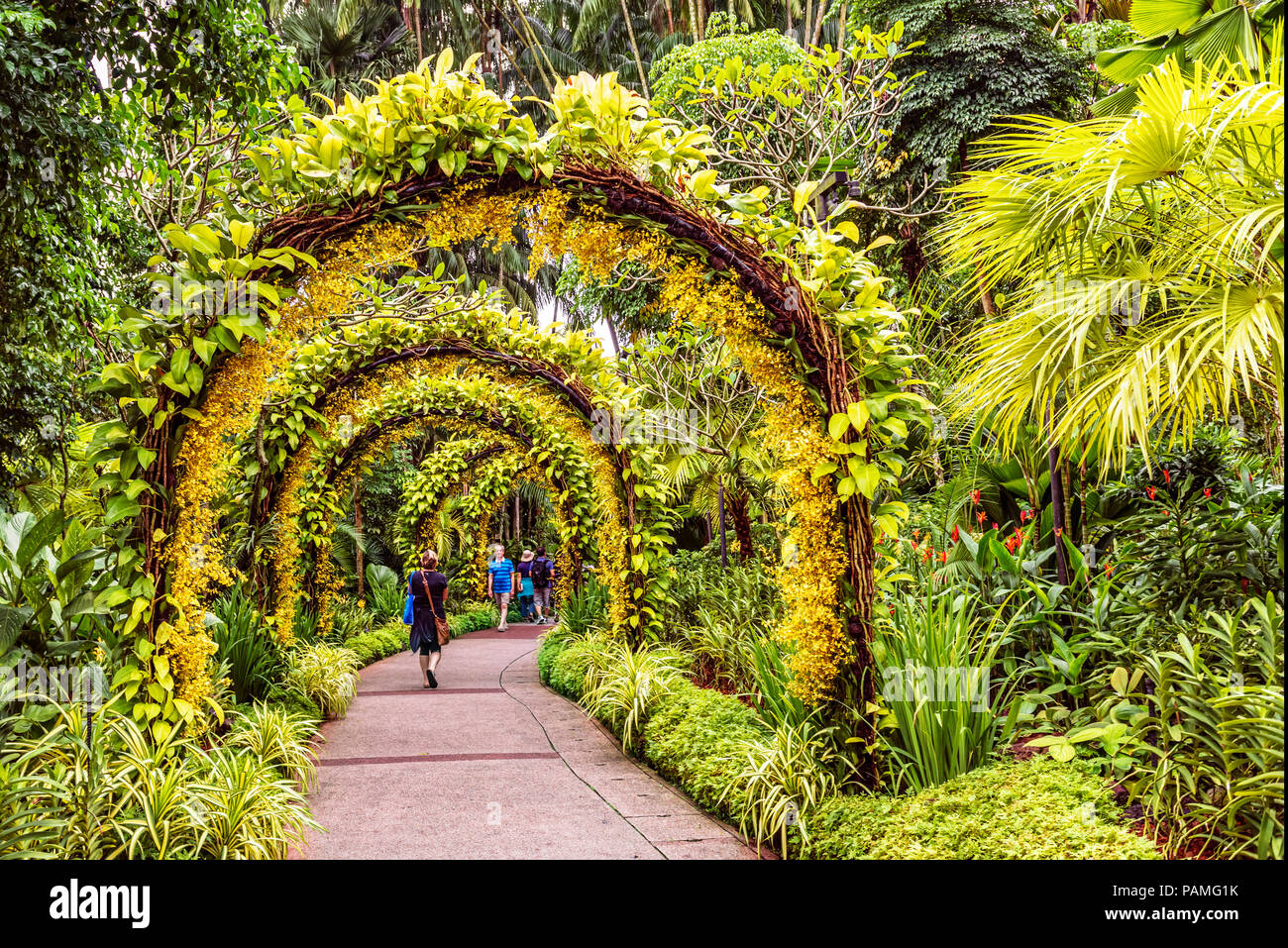 Singapore Jan 11, 2018: Tourists walking on pedestrian pathway arranged by small yellow orchid flowers placed on arch supports in Singapore Botanic Ga Stock Photo