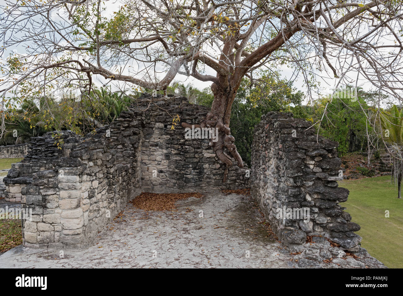 The ruins of the ancient Mayan city of Kohunlich, Quintana Roo, Mexico. Stock Photo