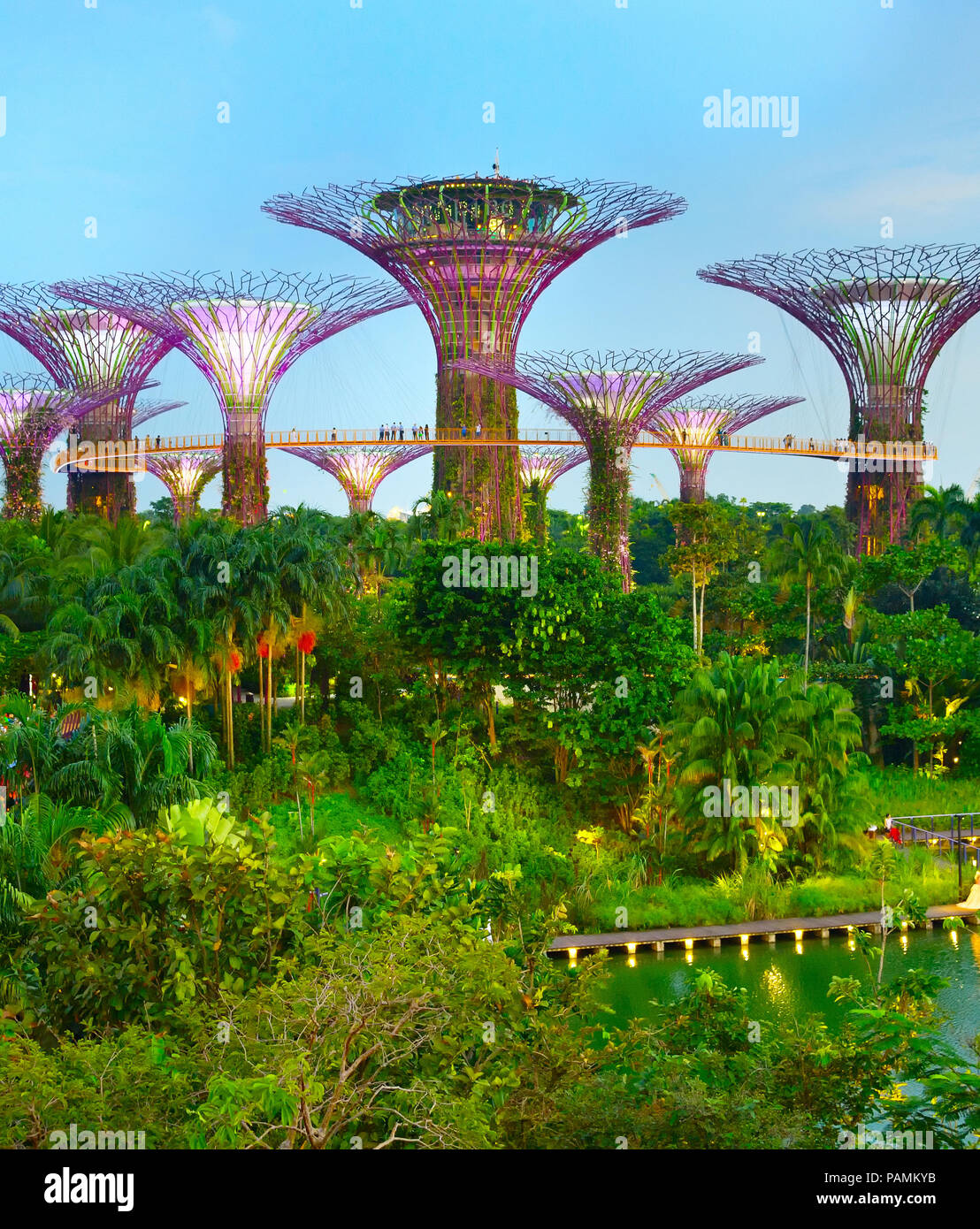 SINGAPORE - JAN 15, 2017: Twilight view of Gardens by the Bay. Gardens by the Bay was crowned World Building of the Year at the World Architecture Fes Stock Photo
