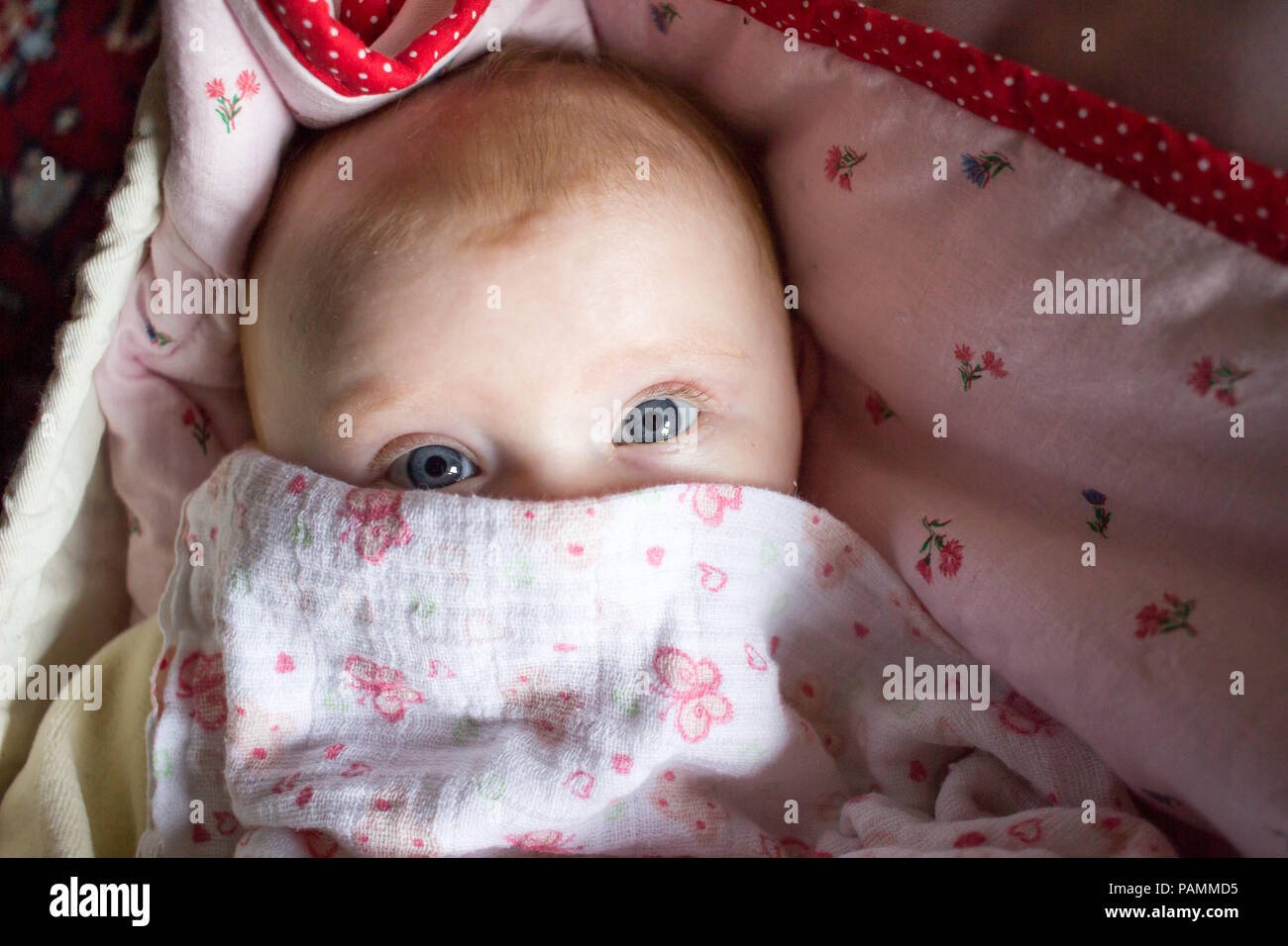 veiled baby with blue eyes looking at camera Stock Photo