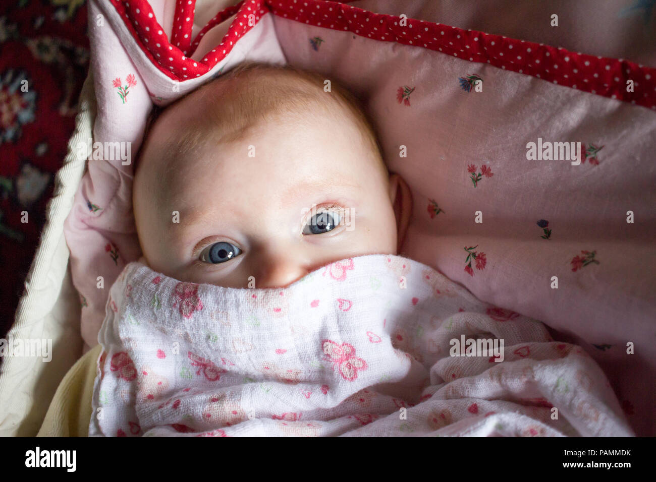 veiled baby with blue eyes looking at camera Stock Photo