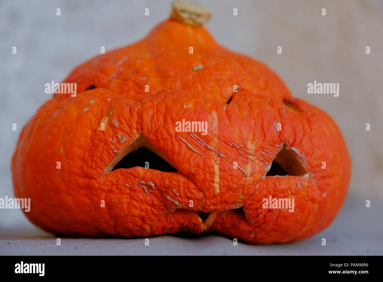 Hellowenn is over! Hollow old and sad Pumpkin Head Stock Photo