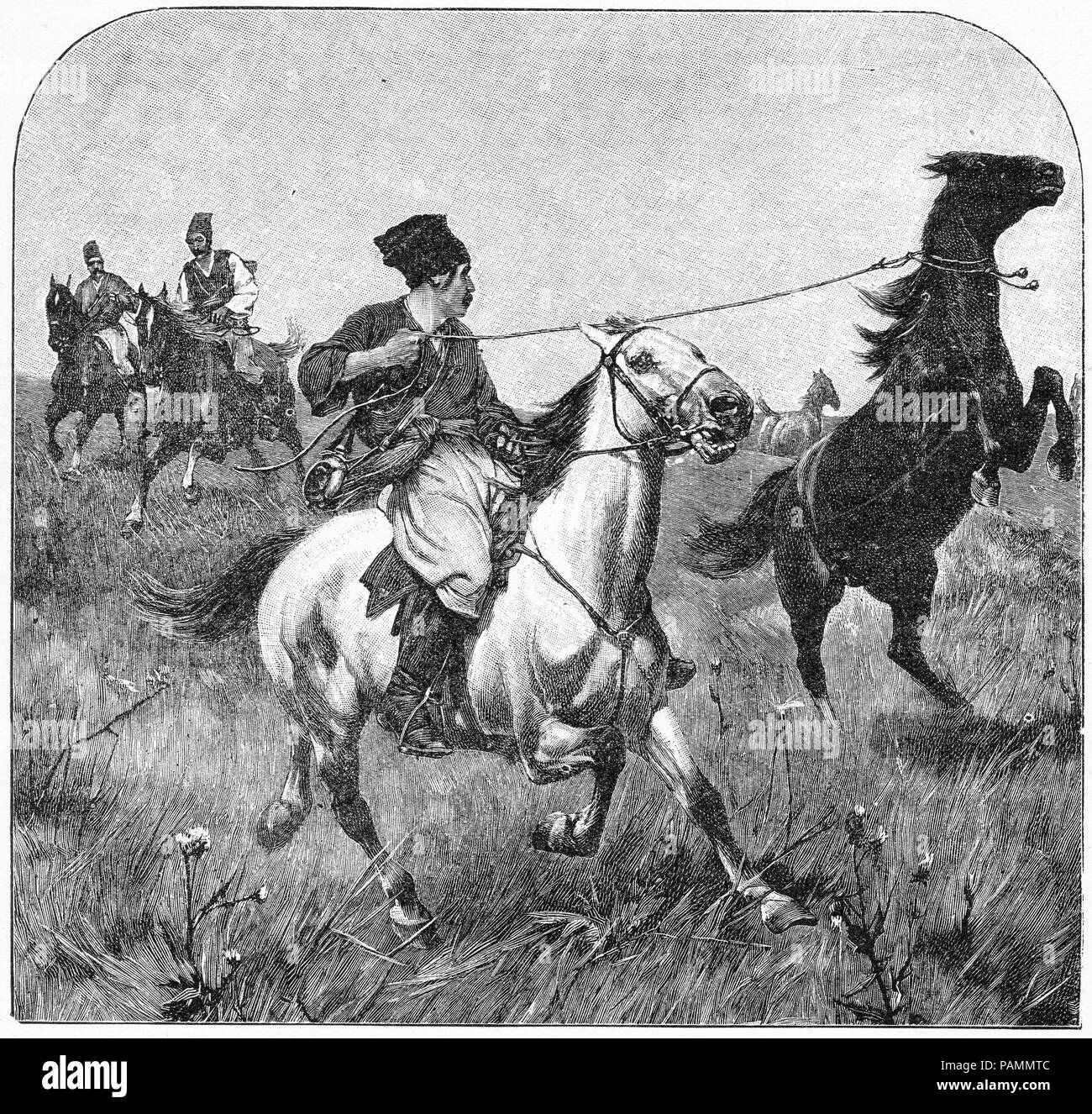 Halftone of Hungarian horse thieves at work. From Young England, An Illustrated Monthly for Boys, 1903. Stock Photo