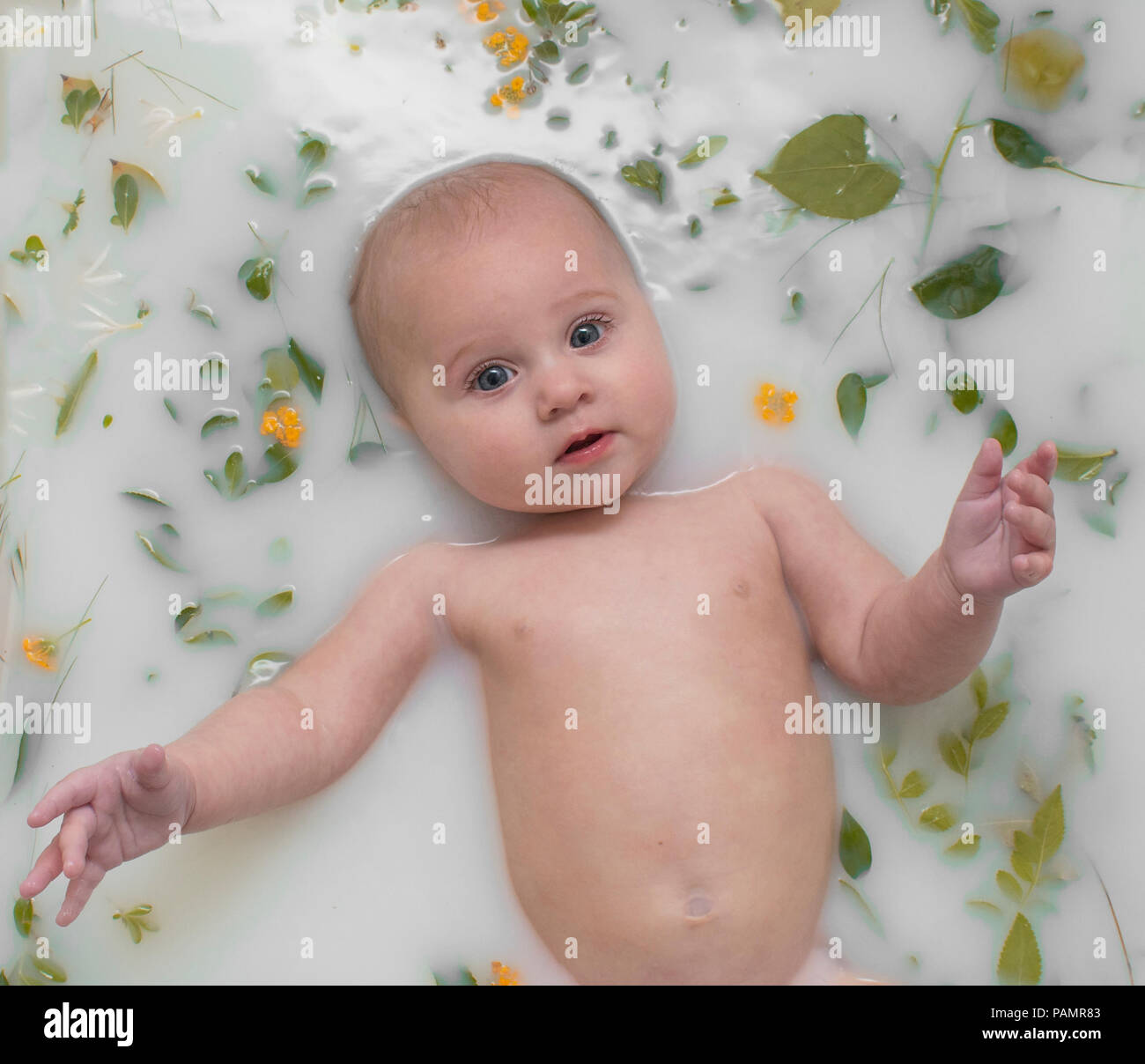 Baby in Milk Bath Stock Photo Alamy