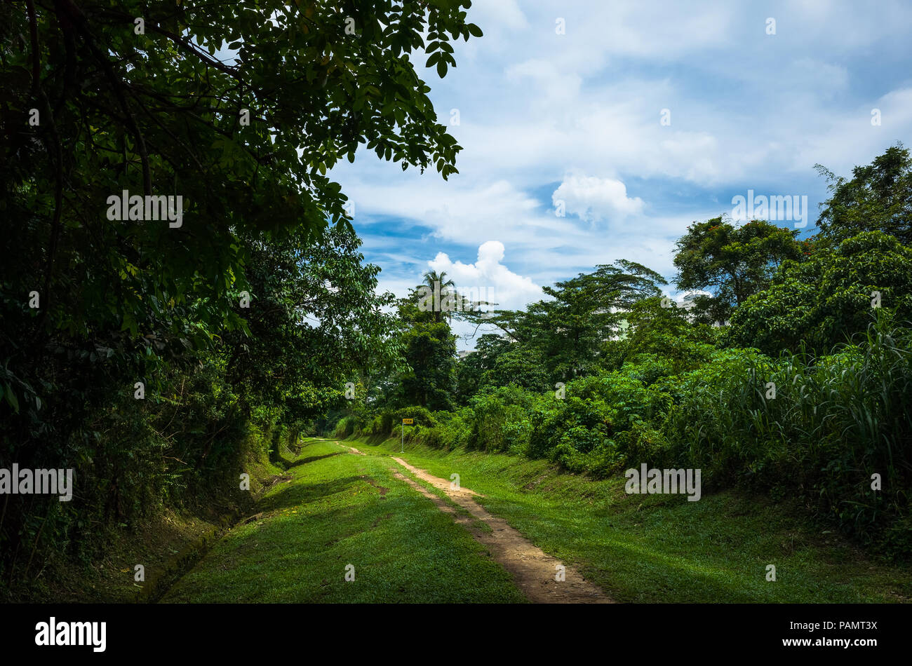 Hiking trail along the old railway tracks in Singapore Bukit Timah