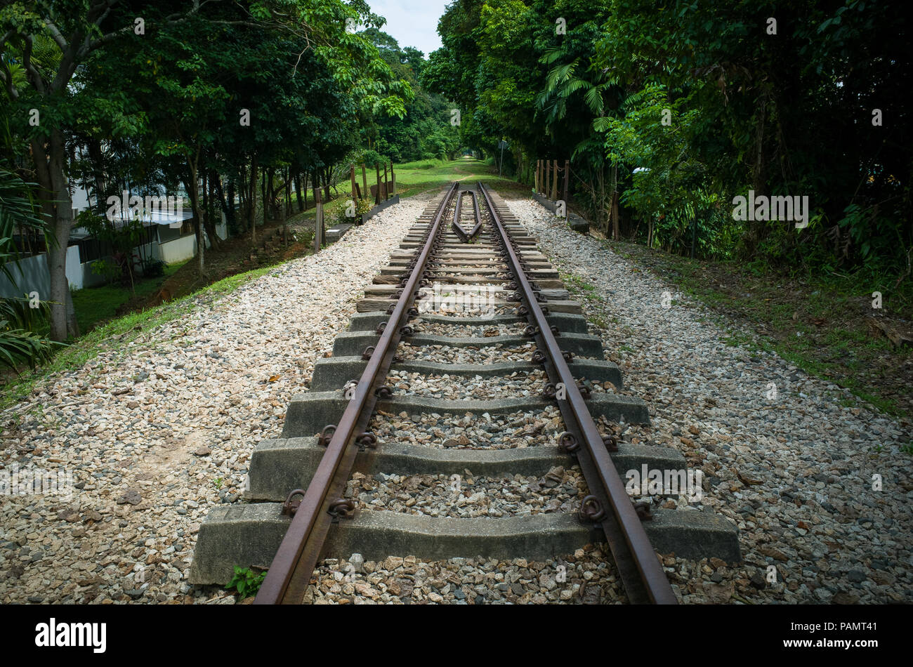 Old Railroad Tracks that dead end on a hiking path in Bukit Timah