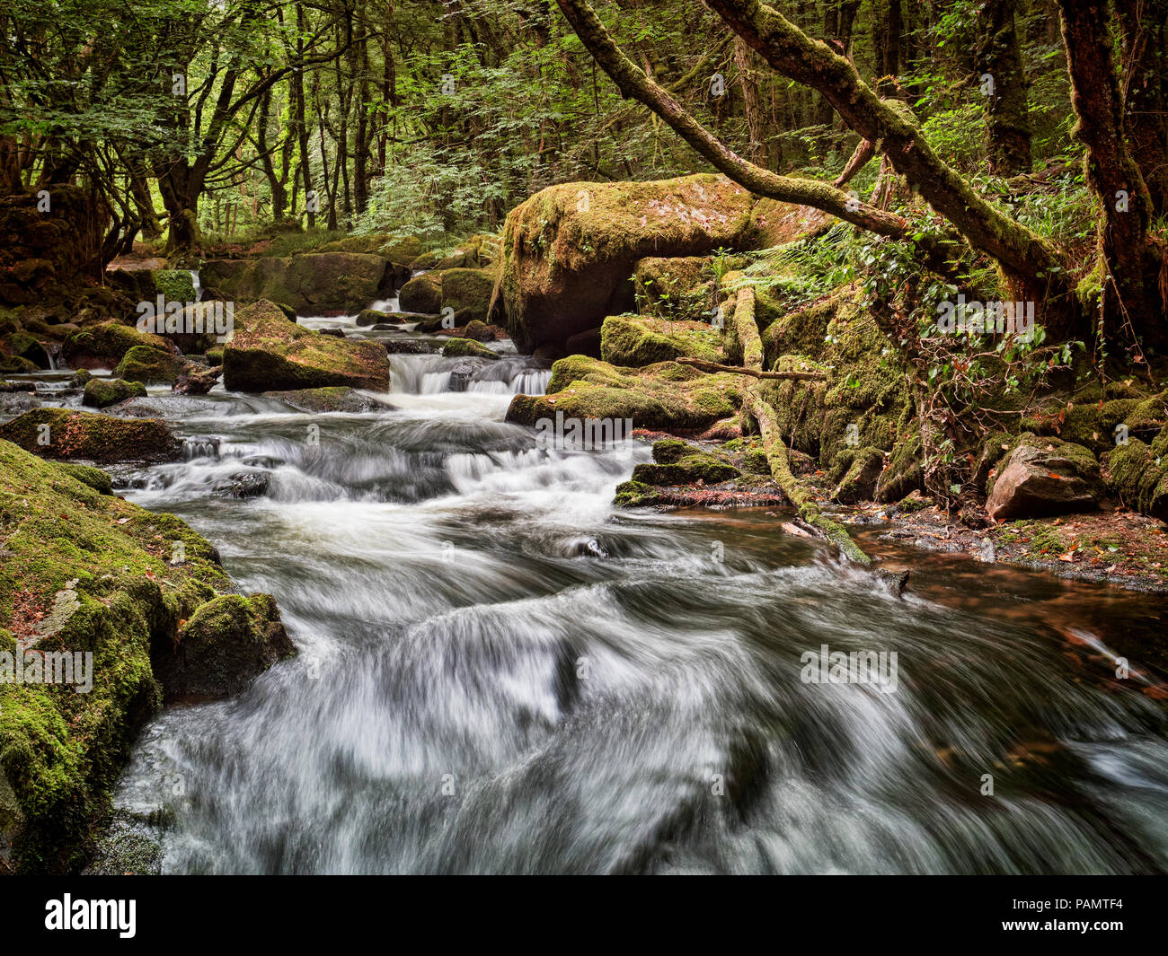 Golitha Falls on the River Fowey, near Liskeard in Cornwall, UK Stock