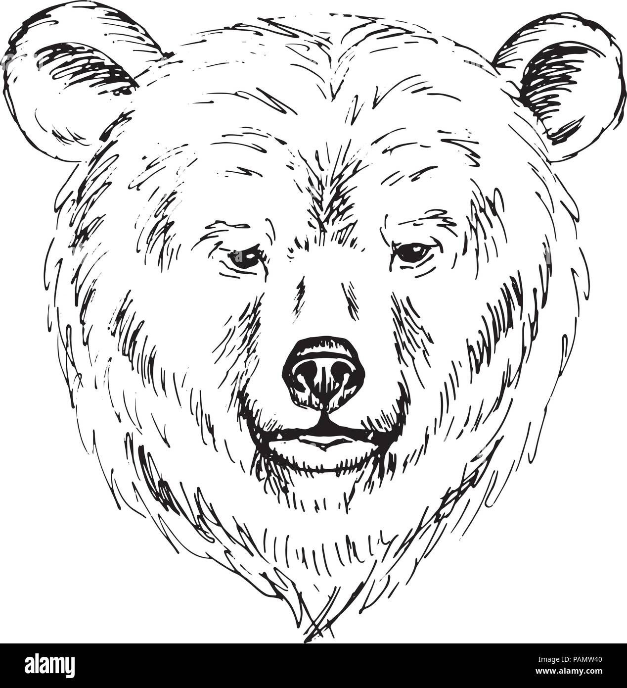 Bear head drawing hi-res stock photography and images - Alamy