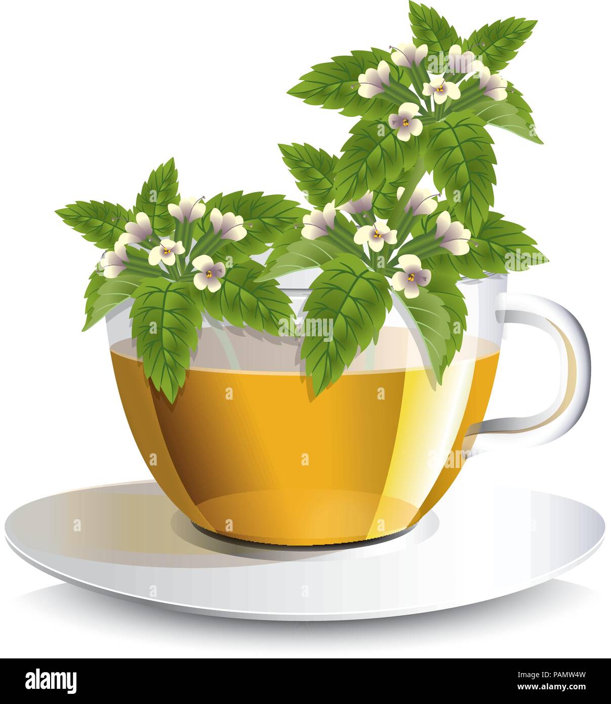Vector Illustration Lemon Balm Tea In A Transparent Cup With Flowers A Conceptual Idea For The Label Stock Vector Image Art Alamy