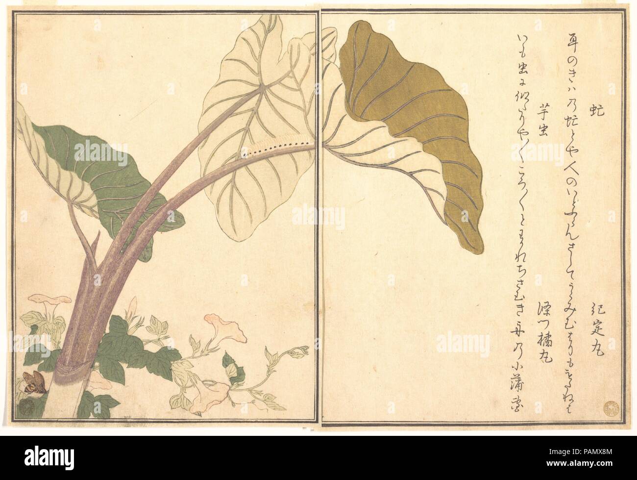 Horsefly (abu); Green Caterpillar, imomushi, from the Picture Book of Crawling Creatures (Ehon mushi erami). Artist: Kitagawa Utamaro (Japanese, ca. 1754-1806). Culture: Japan. Dimensions: 10 1/2 x 7 7/32 in. (26.7 x 18.4 cm). Date: 1788.  Ehon mushi erami (Picture Book of Crawling Creatures) is illustrated with fifteen designs of insects and other garden creatures by Utamaro. Published by Tsutaya Juzaburo , the poems were selected and introduced by a preface written by the poet and scholar Yadoya no Meshimori (Rokujuen; 1753-1830), who later became head of the influential Go-gawa poetry group Stock Photo
