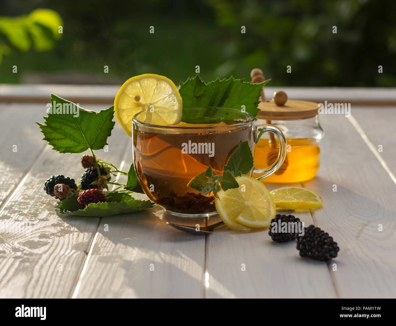 Healthy breakfast concept. Aromatic tea, blackberries, lemon slices and honey dipper on a white wooden table in the gardentable in the garden Stock Photo