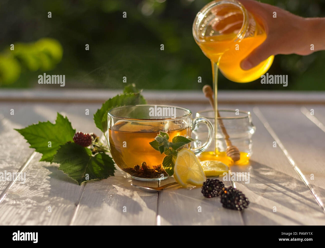 Healthy breakfast concept. Tea with lemon, berries and honey in a jar. A woman is pouring honey. Slow life. Stock Photo