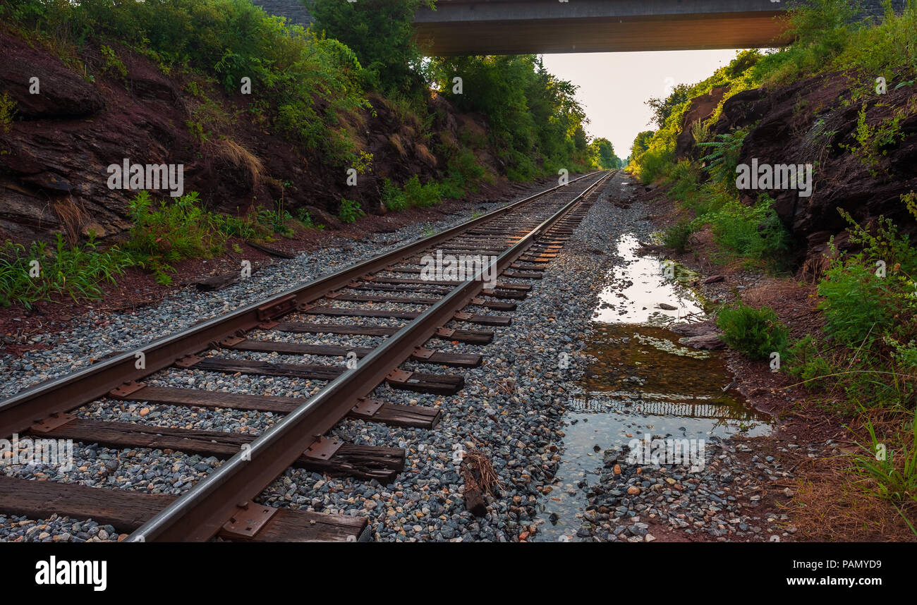 Railroad cut on Gettysburg Battlefield in golden hour light Stock Photo