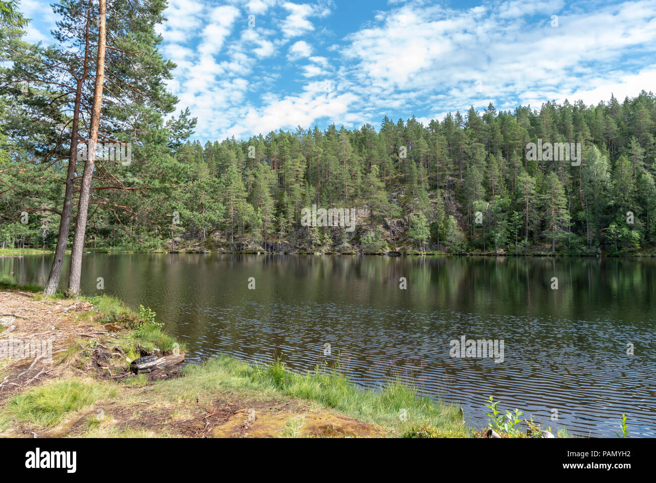 Pond in forest in Sweden Stock Photo