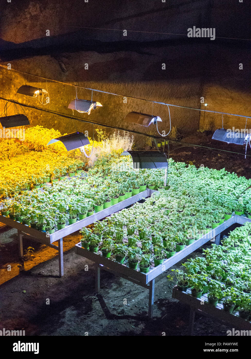 Underground garden hi-res stock photography and images - Alamy