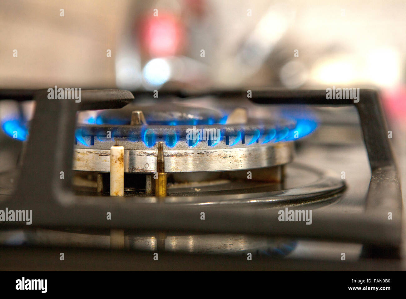 Fire on the gas stove burner. Burner gas stove, concept of energy