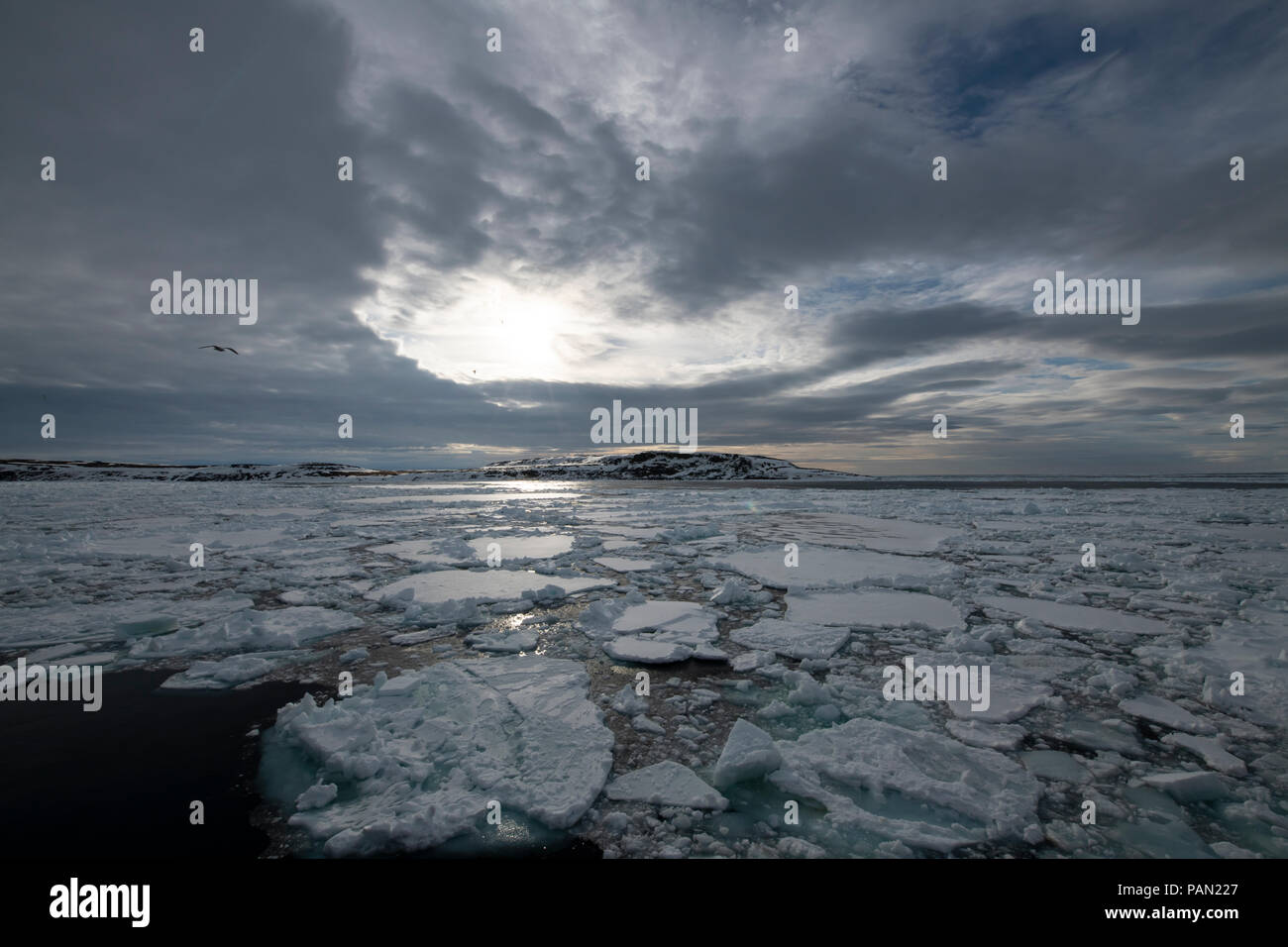 Franz-Josef Land landscape Stock Photo - Alamy