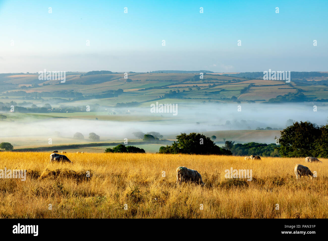 Litton cheney hires stock photography and images Alamy
