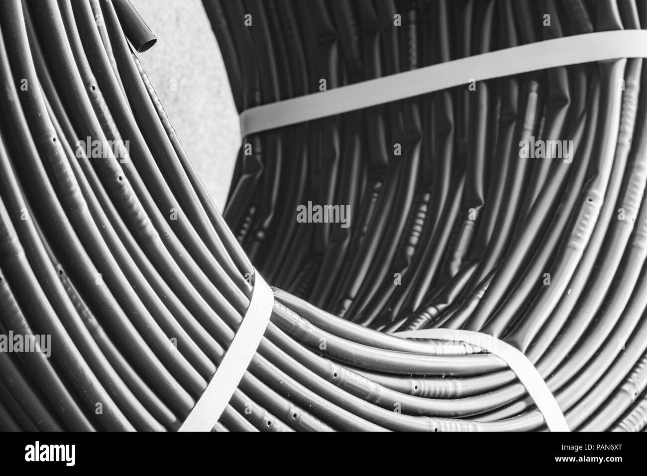 Close up on a roll of Drip Irrigation Hose used for efficient water saving system for agricultural crops. Stock Photo
