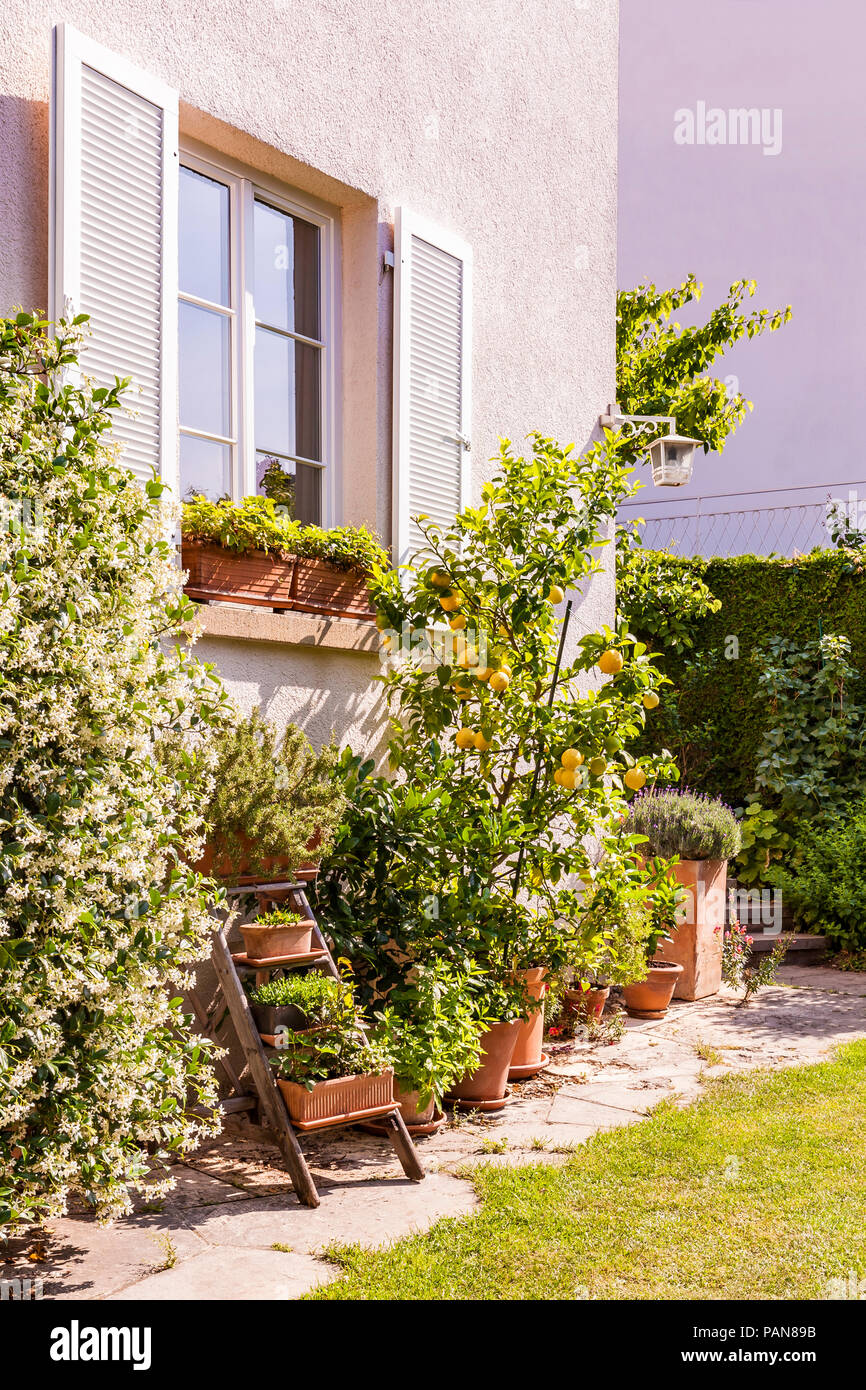 Germany, Stuttgart, potted plants in front of house Stock Photo