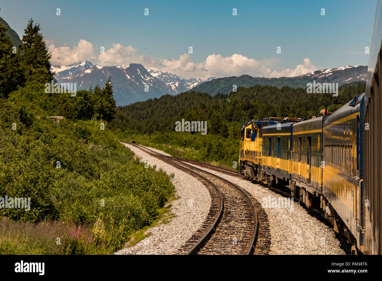 A bear crosses the tracks ahead of a train in Alaska, USA in summertime. Stock Photo
