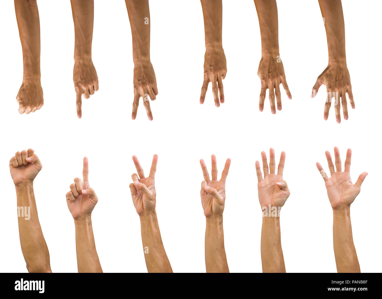 Set of hand gesture isolated on white background with clipping path. Collection of multiple front and back hands count numbers. upside down hand. Stock Photo