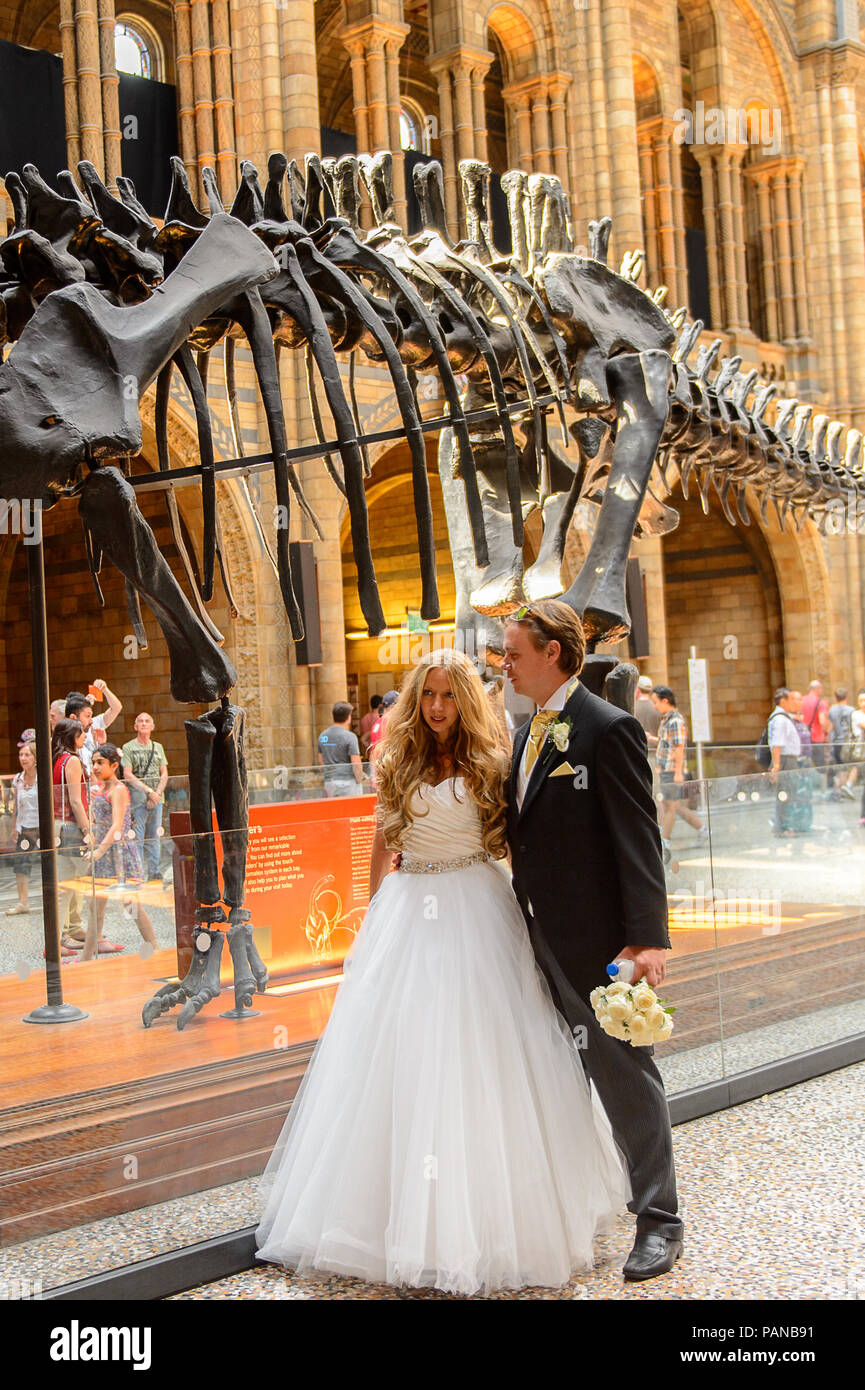 LONDON, ENGLAND - JUL 23, 2016: Wedding at the Natural History Museum (1881), Exhibition Road, South Kensington Stock Photo