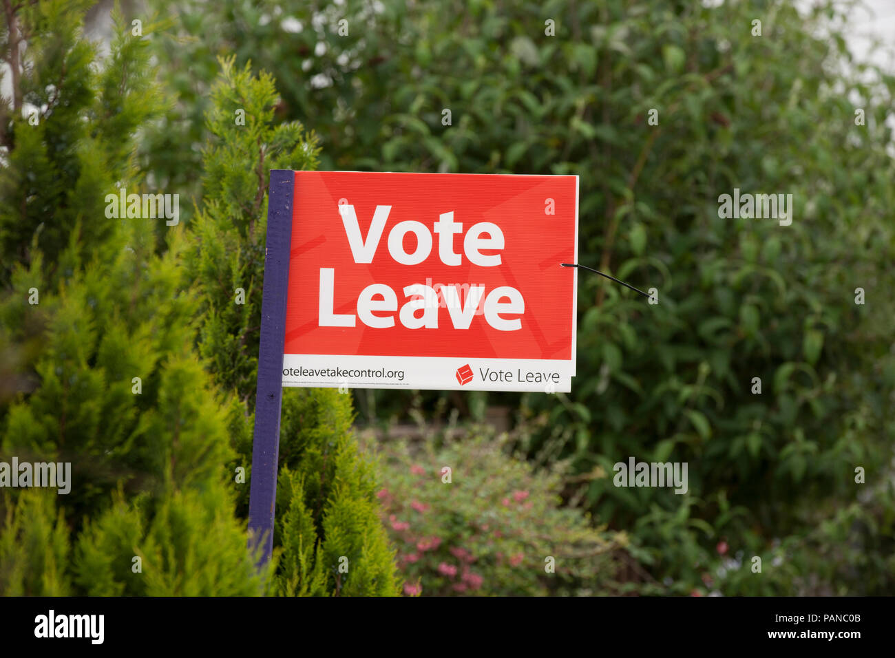 Vote Leave signs on 23.6.2016 the day of the EU/Brexit Referendum. Gillingham Dorset England UK GB Stock Photo