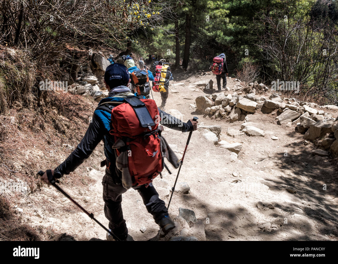 Nepal, Solo Khumbu, Everest, Sagamartha National Park, Mountaineers walking on dirt track Stock Photo