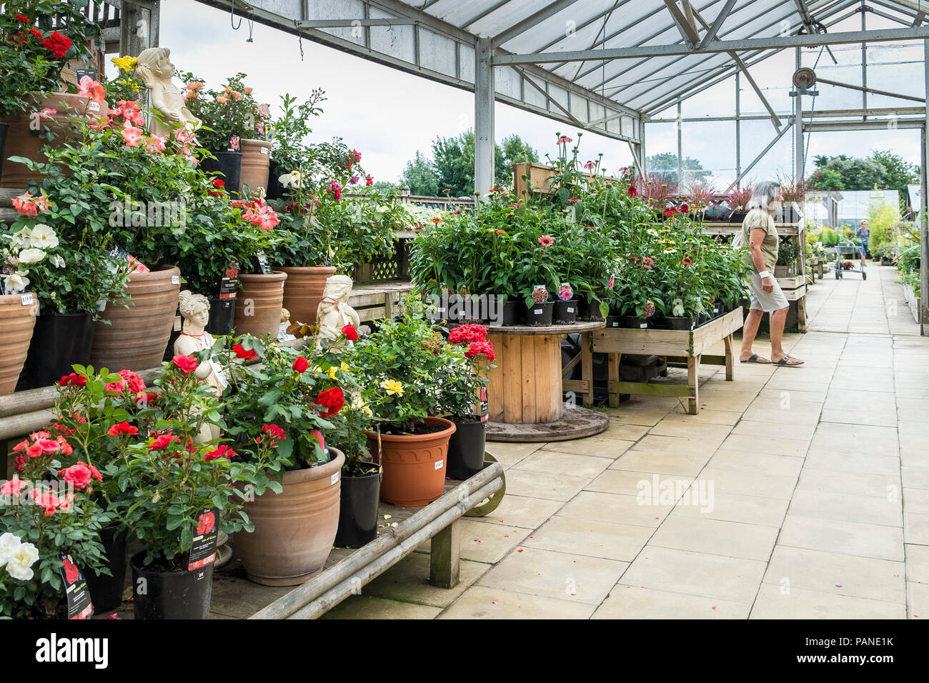 Garden centre displays hi-res stock photography and images - Alamy