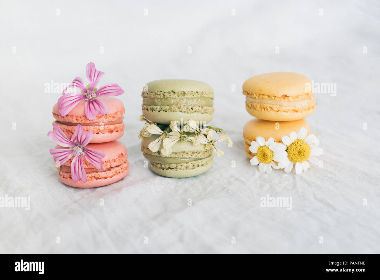 Macarons with blossoms Stock Photo