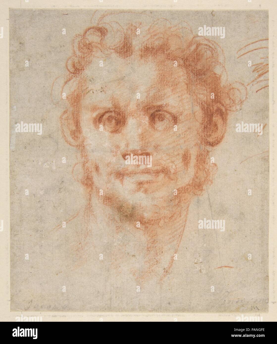 Study of a Man's Head. Artist: Jacopo da Pontormo (Jacopo Carucci) (Italian, Pontormo 1494-1556 Florence). Dimensions: sheet: 5 1/4 x 4 1/2 in. (13.3 x 11.4 cm). Date: 1494-1556. Museum: Metropolitan Museum of Art, New York, USA. Stock Photo