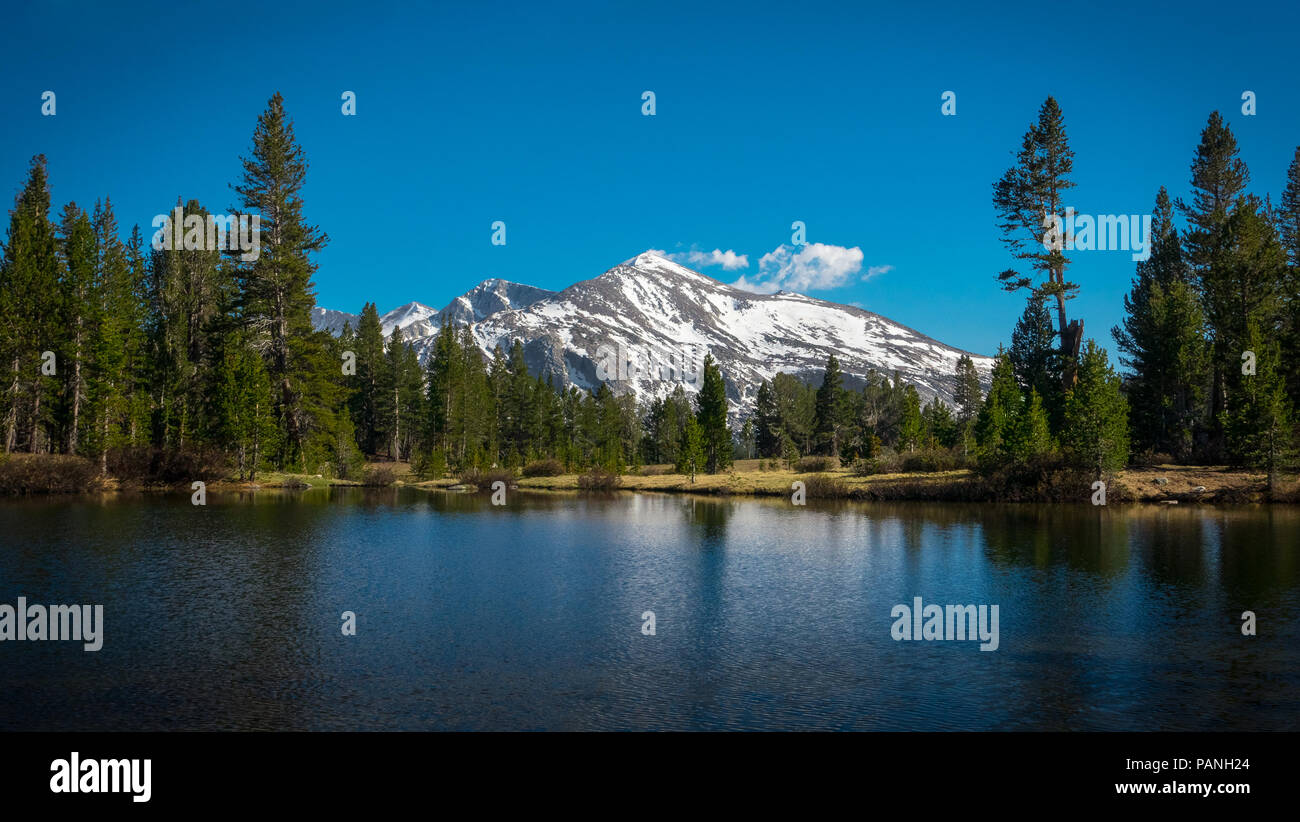 Snowy Mammoth Mountain Peak ,overlooking a lake consisting of springtime snowmelt - Yosemite National Park Stock Photo