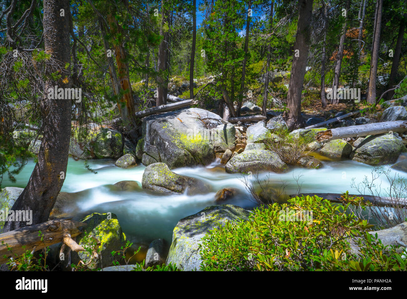 Yosemite Creek's turquoise water rapids flowing over large boulders in the forest along Tioga Pass - Yosemite National Park Landscapes Stock Photo