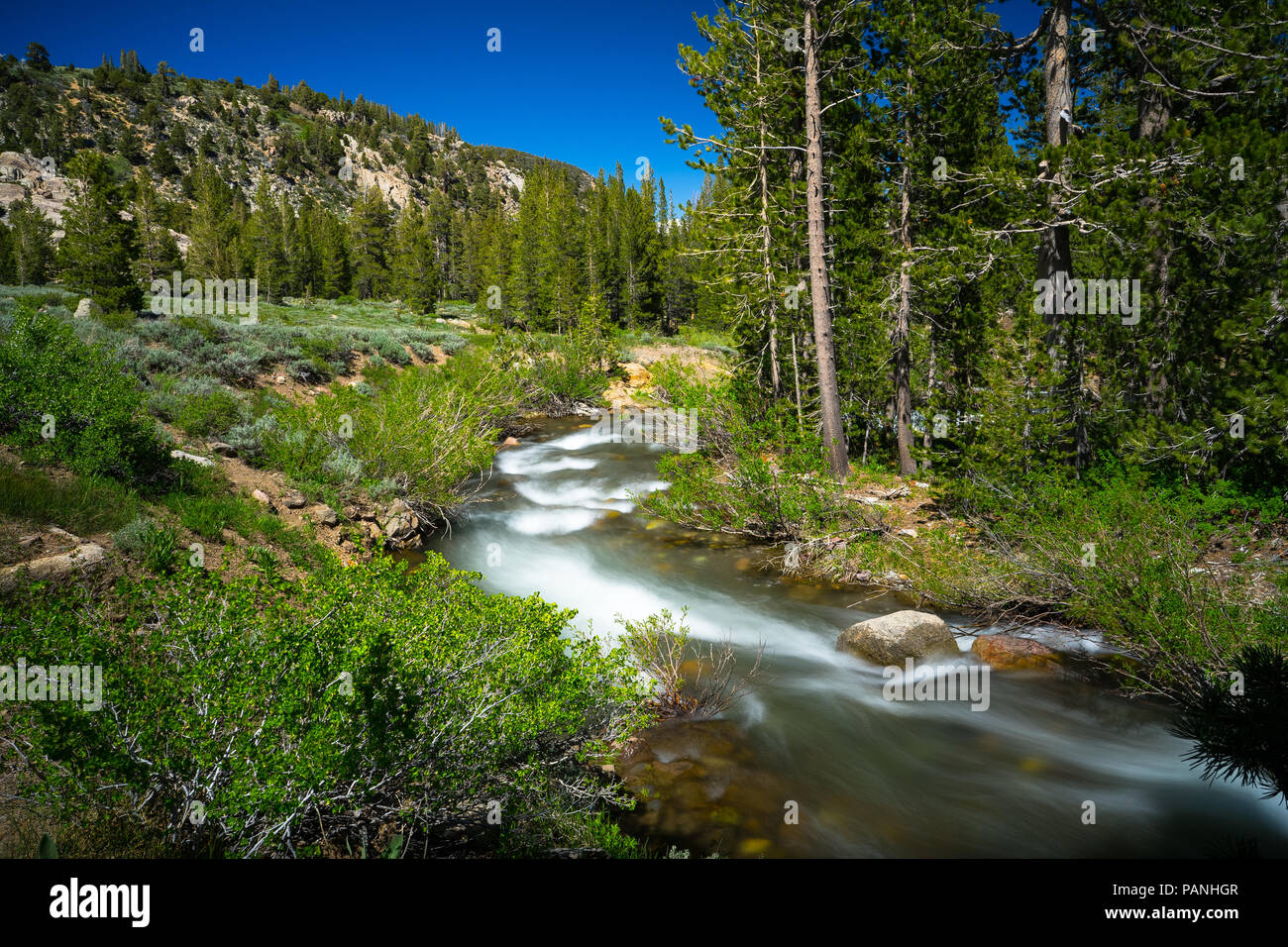 Forest creek winding out to a mountain meadow - Highway 108 Roadside Stock Photo