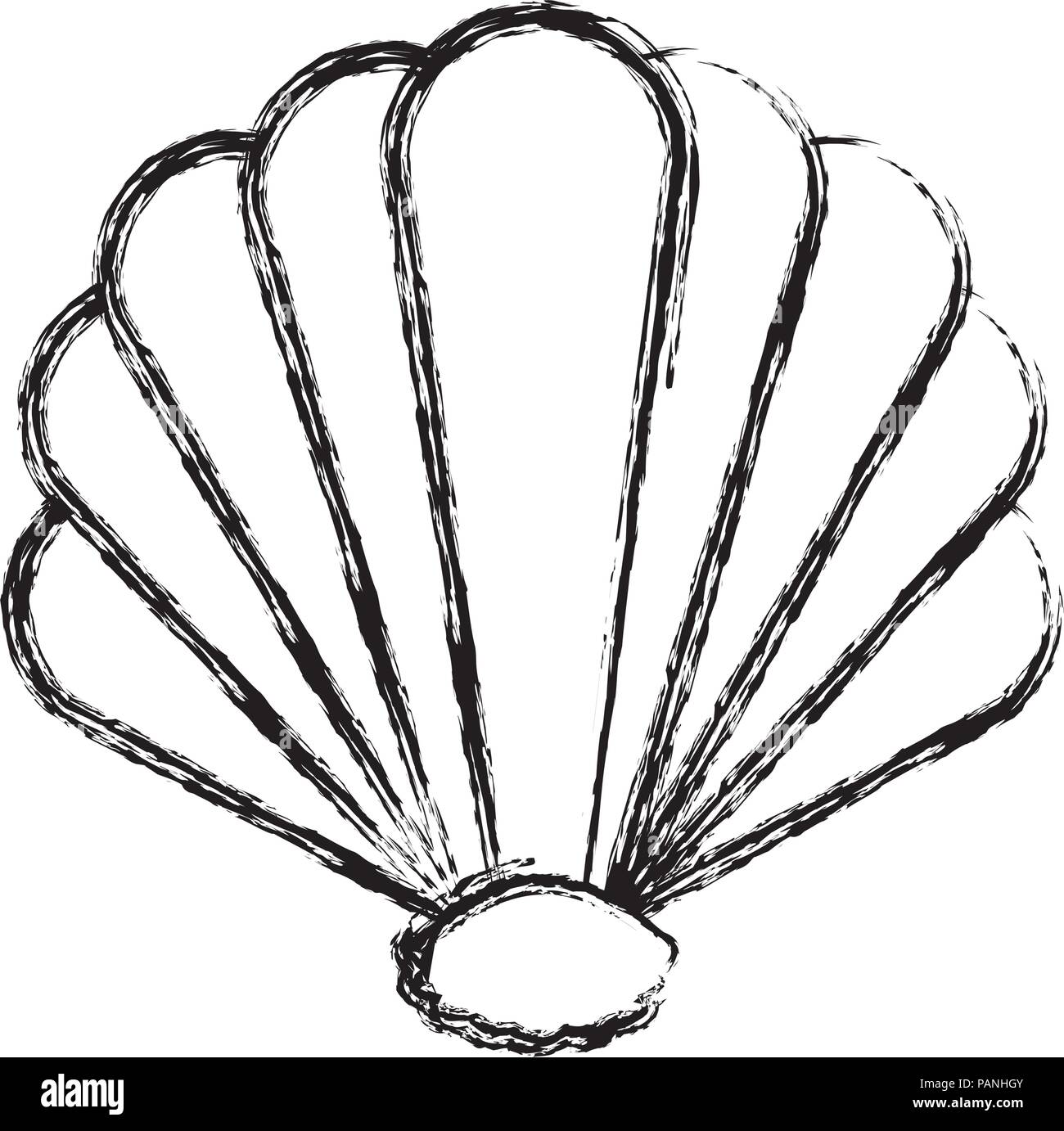 grunge beauty shell nature manine style Stock Vector Image & Art - Alamy