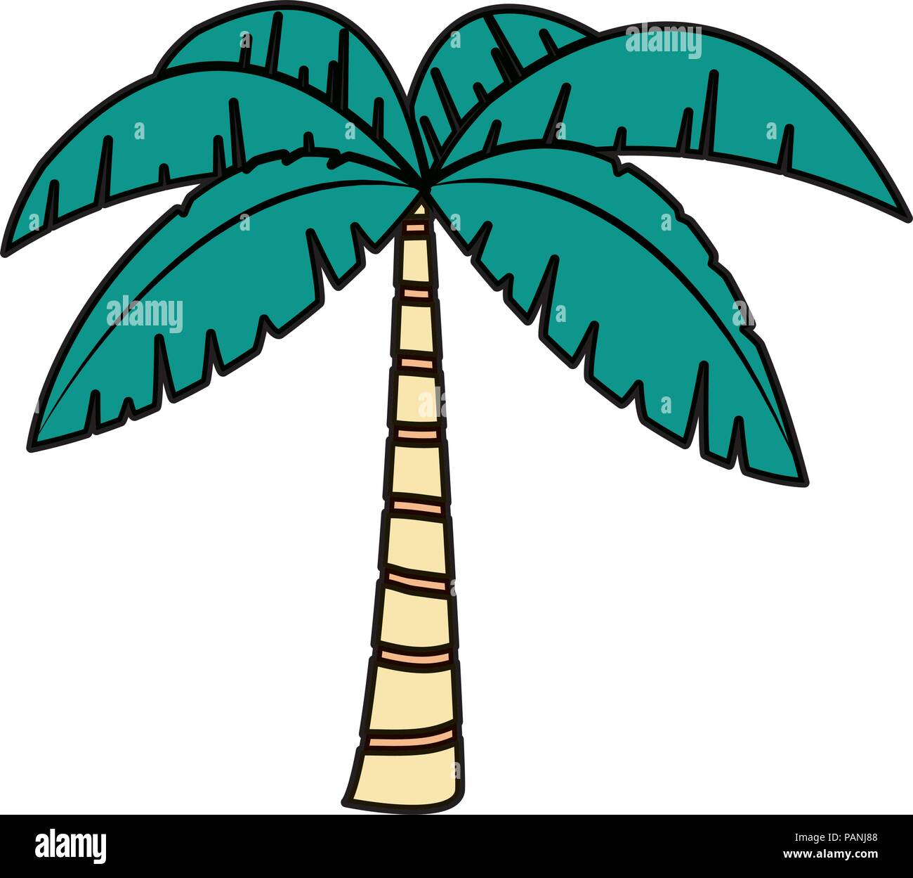 color exotic palm with tropical tree leaves Stock Vector