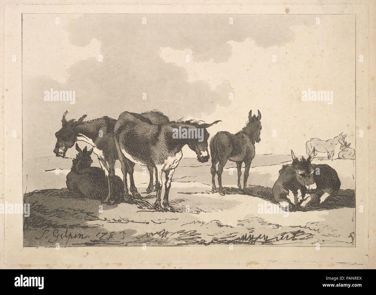 A Group of Five Donkeys, Three Standing, Two Lying. Artist: After Sawrey Gilpin (British, near Carlisle 1733-1807 Scaleby, Cumbria). Dimensions: Plate: 7 13/16 x 10 7/8 in. (19.8 x 27.7 cm)  Sheet: 18 1/2 x 12 3/8 in. (47 x 31.5 cm). Etcher: Thomas Rowlandson (British, London 1757-1827 London). Published in: London. Series/Portfolio: Imitations of Modern Drawings. Date: 1783. Museum: Metropolitan Museum of Art, New York, USA. Stock Photo