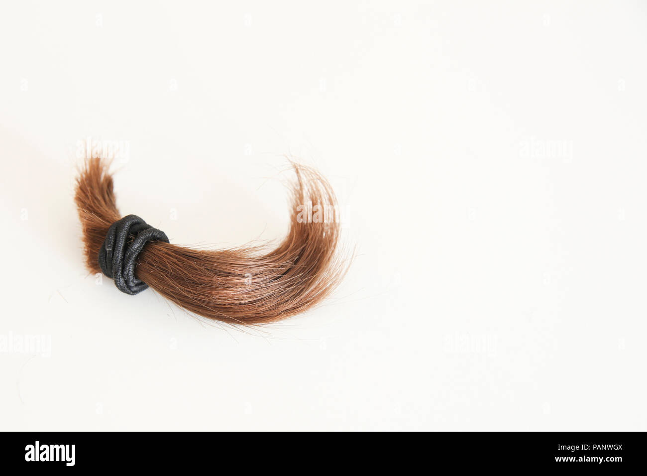 1300 Locks Of Hair Stock Photos Pictures  RoyaltyFree Images  iStock   Strands of hair Beautiful hair Shampoo