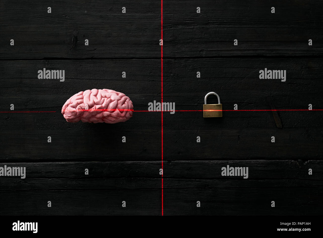 Artificial intelligence, encrypted brain Stock Photo