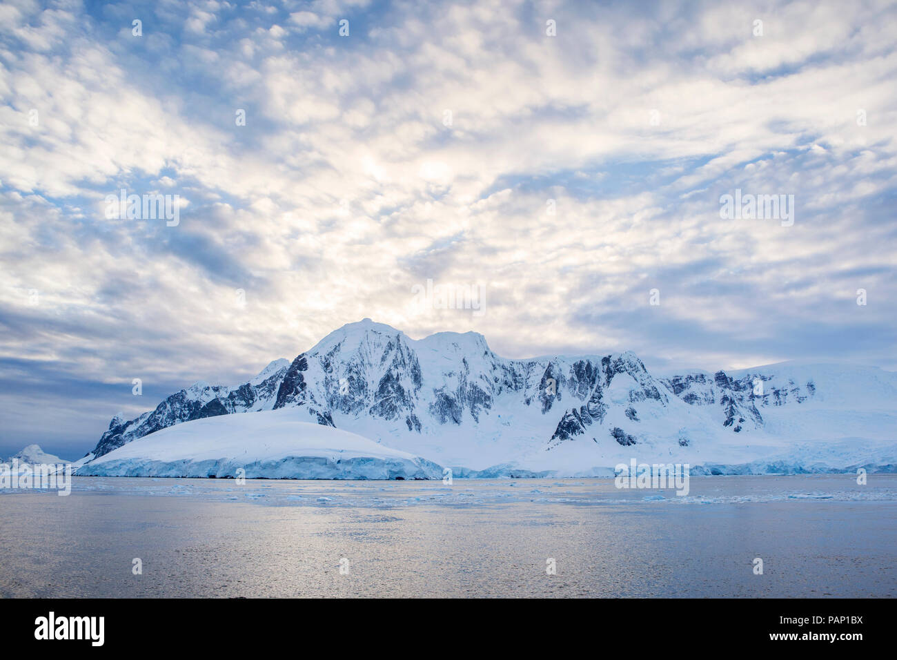 Antarctic, Antarctic Peninsula, snow covered mountains with ice and glacier in the morning Stock Photo