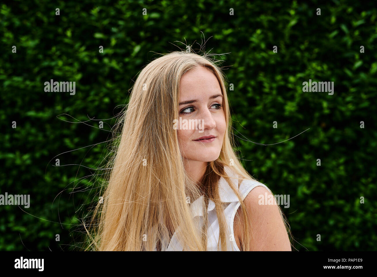 Blond young woman at a hedge looking sideways Stock Photo
