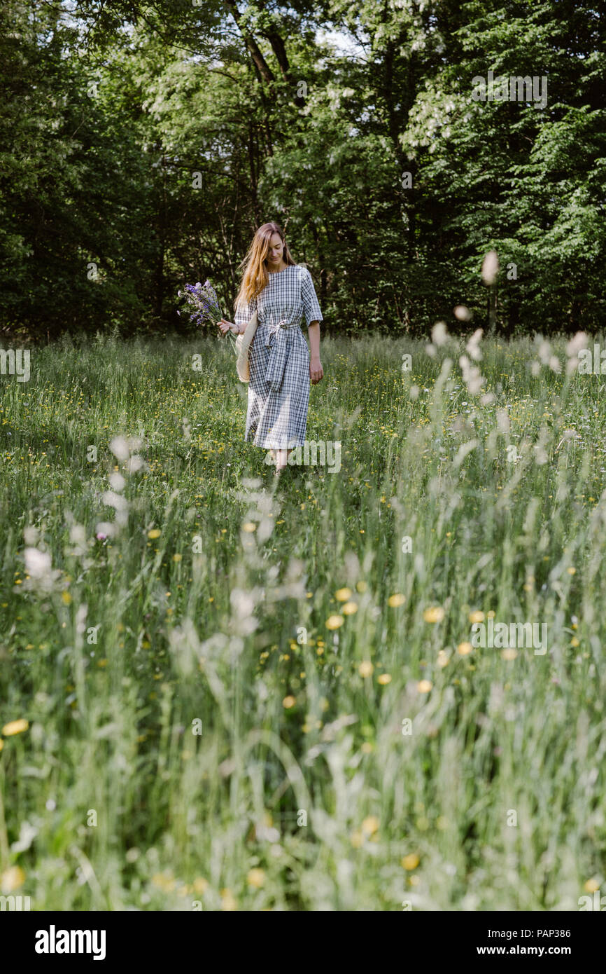Italy, Veneto, Young woman plucking flowers and herbs in field Stock Photo