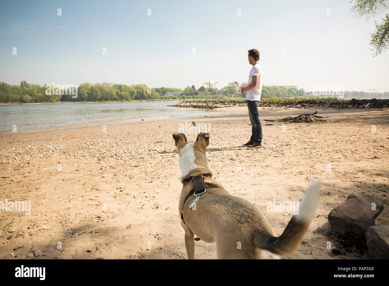Man with a dog flying drone at a river Stock Photo - Alamy